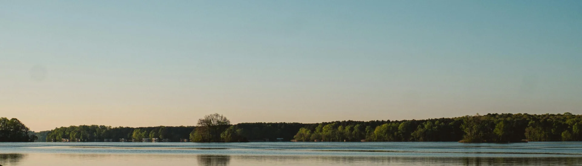 Tyler Area Lake Palestine